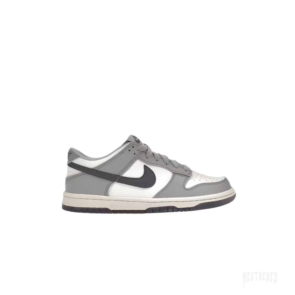 NIKE DUNK LOW PLATINUM TINT LIGHT CARBON (GS) sneaker with white base, grey overlays, and dark carbon swoosh.