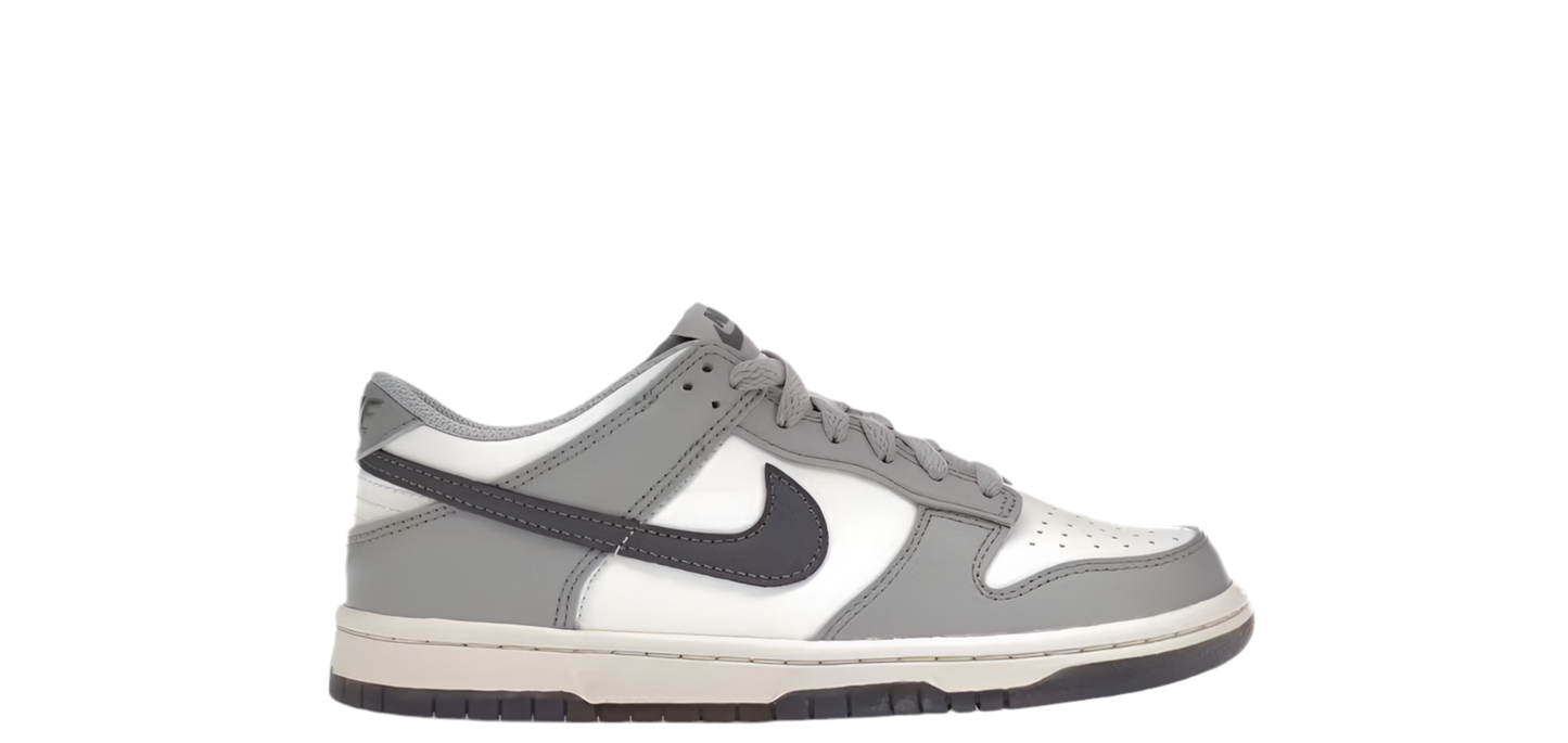 NIKE DUNK LOW PLATINUM TINT LIGHT CARBON (GS)