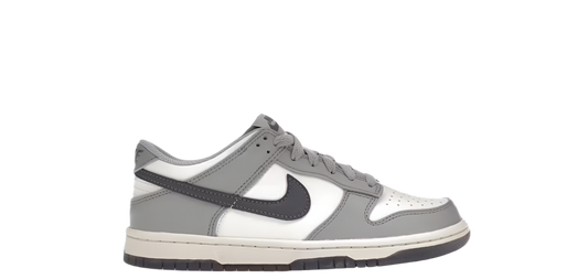 NIKE DUNK LOW PLATINUM TINT LIGHT CARBON (GS)