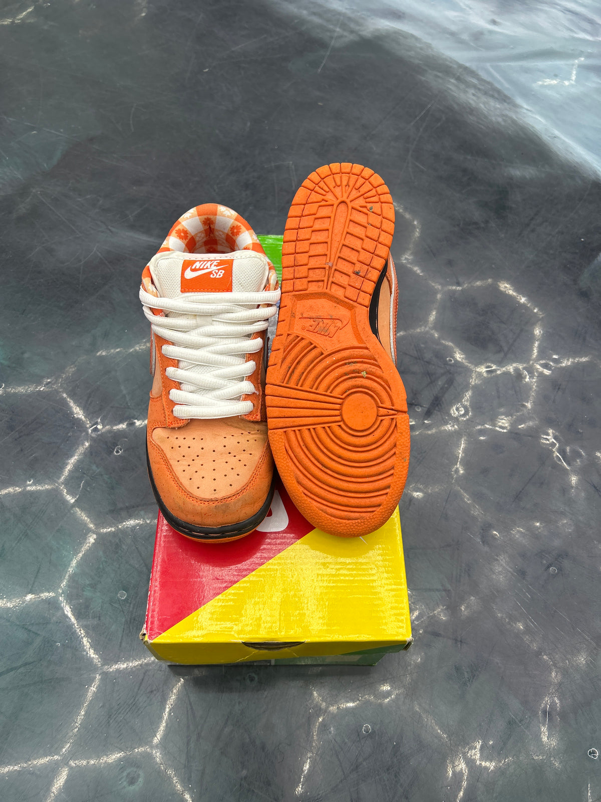 NIKE SB DUNKS LOW CONCEPTS ORANGE LOBSTER PRE OWNED SIZE 6