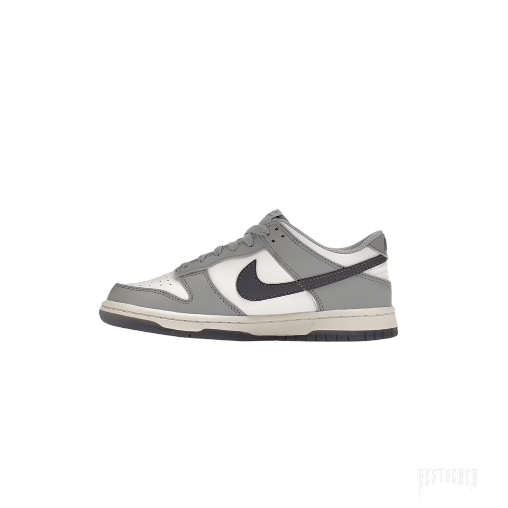 NIKE DUNK LOW PLATINUM TINT LIGHT CARBON (GS) sneaker, white leather base with grey overlays and black swoosh.