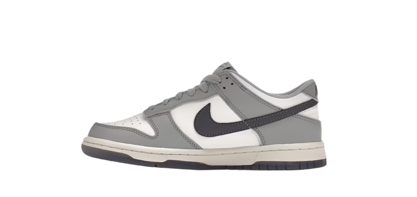 NIKE DUNK LOW PLATINUM TINT LIGHT CARBON (GS)