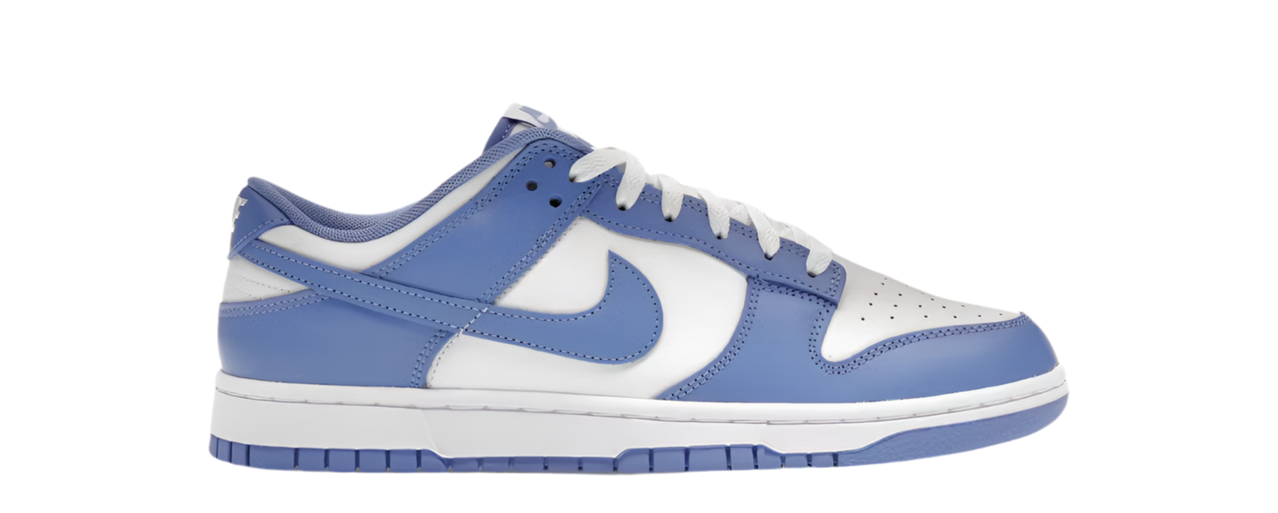 NIKE DUNK LOW POLAR BLUE