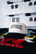 RESTOCKED CLASSIC LOGO HAT